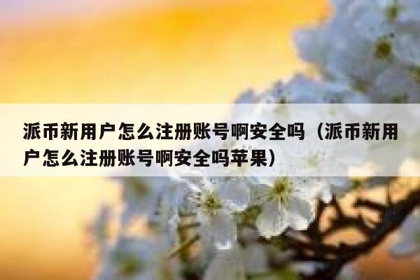 派币新用户怎么注册账号啊安全吗（派币新用户怎么注册账号啊安全吗苹果） 第1张