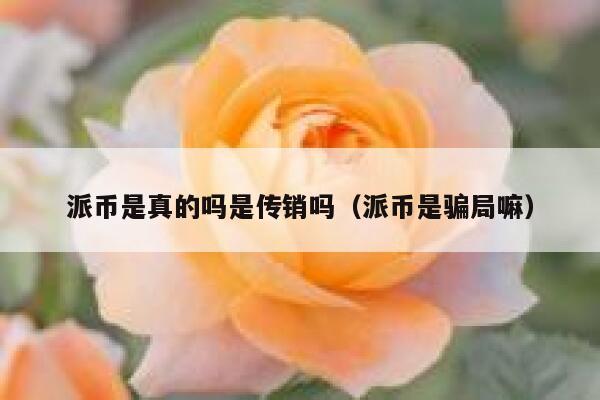 派币是真的吗是传销吗（派币是骗局嘛） 第1张