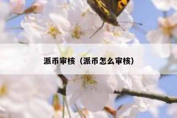 派币审核（派币怎么审核） 第1张