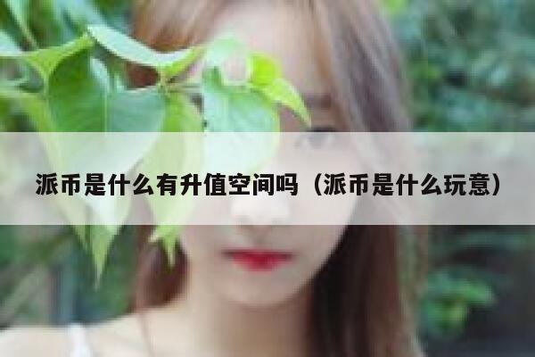 派币是什么有升值空间吗(派币是什么玩意) 第1张 派币是什么有升值空间吗(派币是什么玩意) 第1张