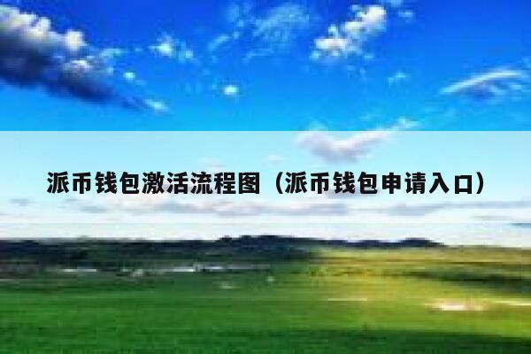 派币钱包激活流程图（派币钱包申请入口） 第1张