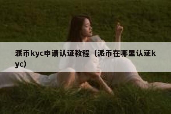 派币kyc申请认证教程（派币在哪里认证kyc） 第1张