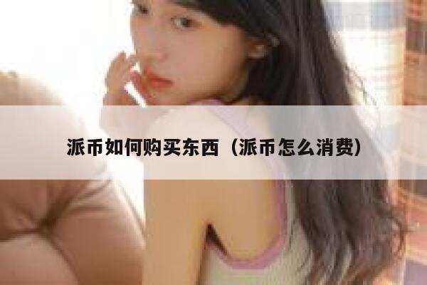 派币如何购买东西（派币怎么消费） 第1张