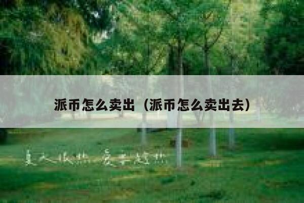 派币怎么卖出（派币怎么卖出去） 第1张