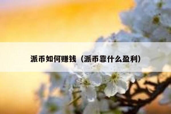 派币如何赚钱(派币靠什么盈利) 第1张 派币如何赚钱(派币靠什么盈利) 第1张