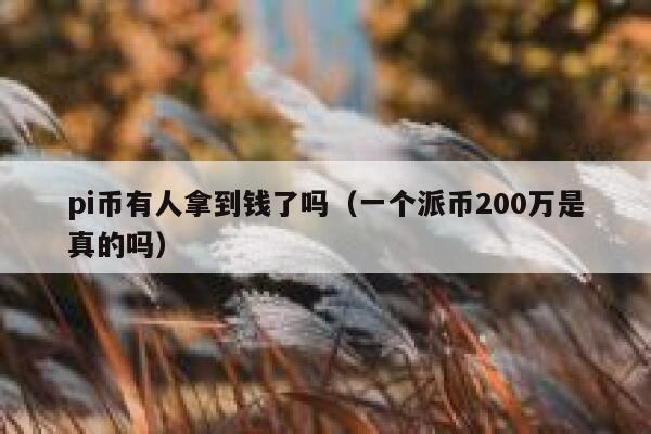 pi币有人拿到钱了吗(一个派币200万是真的吗) 第1张 pi币有人拿到钱了吗(一个派币200万是真的吗) 第1张