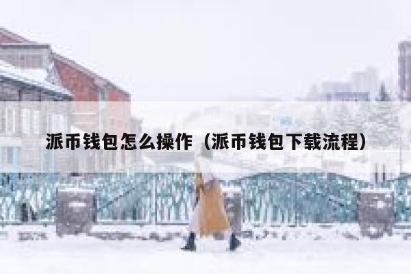 派币钱包怎么操作（派币钱包下载流程） 第1张