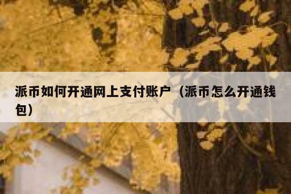 派币如何开通网上支付账户（派币怎么开通钱包） 第1张