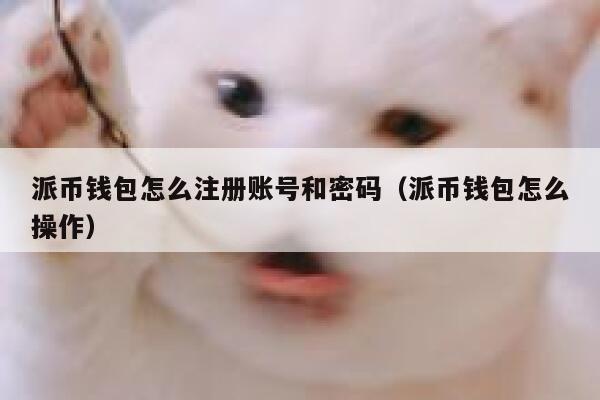 派币钱包怎么注册账号和密码（派币钱包怎么操作） 第1张