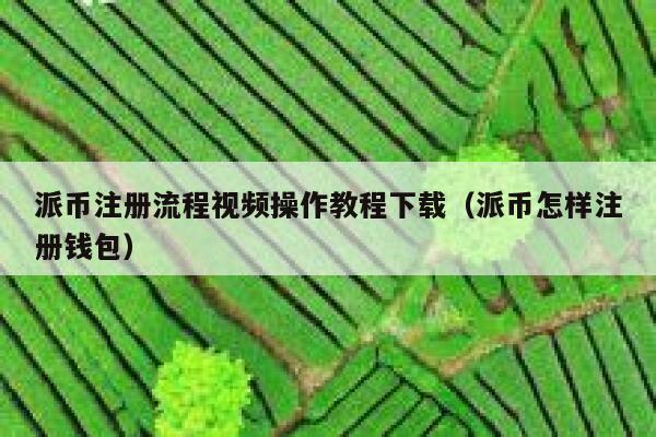 派币注册流程视频操作教程下载（派币怎样注册钱包） 第1张