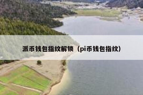 派币钱包指纹解锁（pi币钱包指纹） 第1张