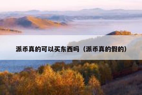 派币真的可以买东西吗（派币真的假的） 第1张