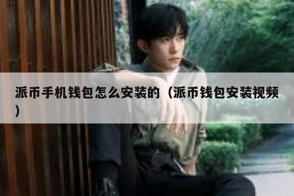 派币手机钱包怎么安装的（派币钱包安装视频） 第1张