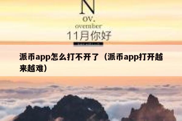 派币app怎么打不开了（派币app打开越来越难） 第1张