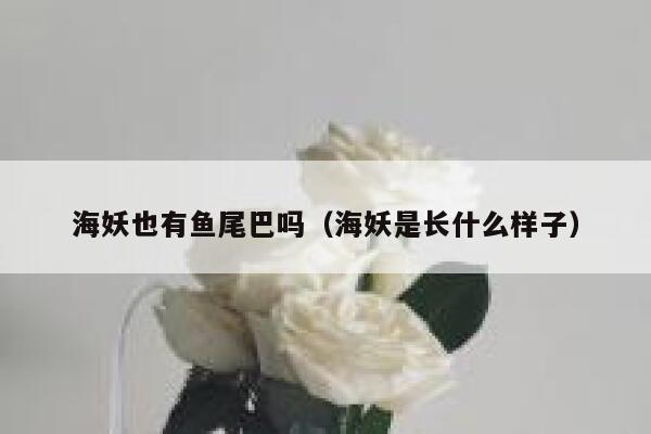 海妖也有鱼尾巴吗（海妖是长什么样子） 第1张