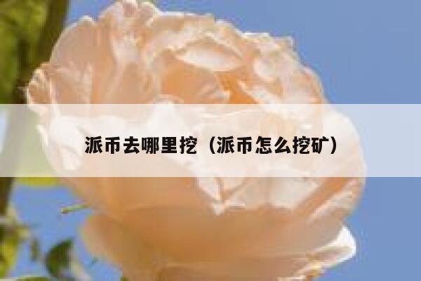 派币去哪里挖（派币怎么挖矿） 第1张