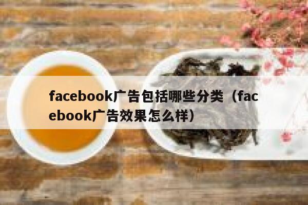 facebook广告包括哪些分类（facebook广告效果怎么样） 第1张