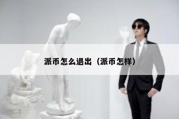 派币怎么退出（派币怎样） 第1张