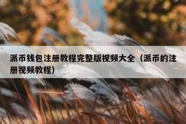派币钱包注册教程完整版视频大全（派币的注册视频教程） 第1张