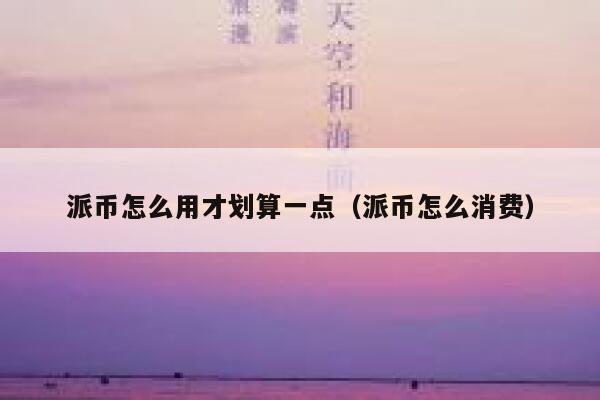 派币怎么用才划算一点（派币怎么消费） 第1张