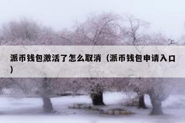 派币钱包激活了怎么取消（派币钱包申请入口） 第1张