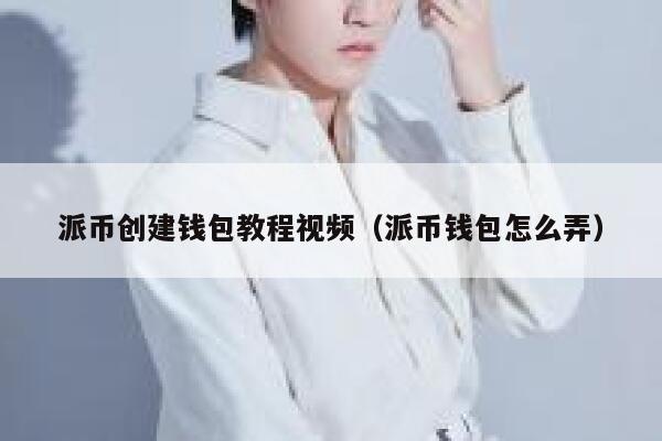 派币创建钱包教程视频（派币钱包怎么弄） 第1张