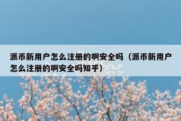派币新用户怎么注册的啊安全吗（派币新用户怎么注册的啊安全吗知乎） 第1张