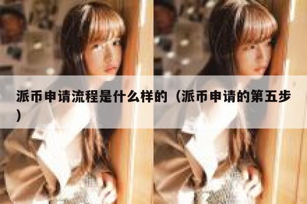 派币申请流程是什么样的（派币申请的第五步） 第1张