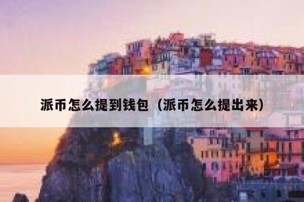 派币怎么提到钱包（派币怎么提出来） 第1张