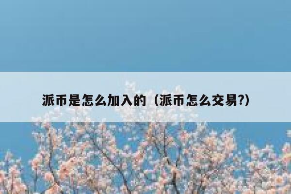 派币是怎么加入的（派币怎么交易?） 第1张