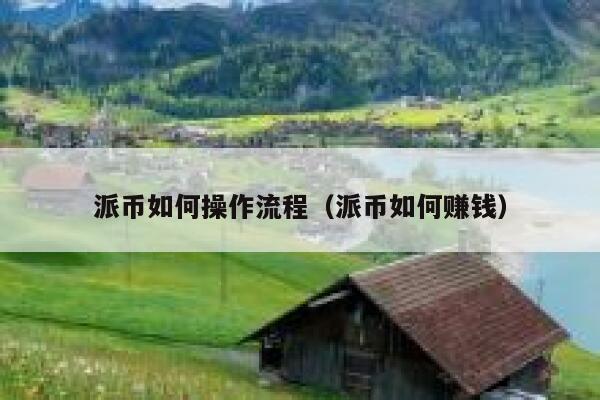 派币如何操作流程（派币如何赚钱） 第1张