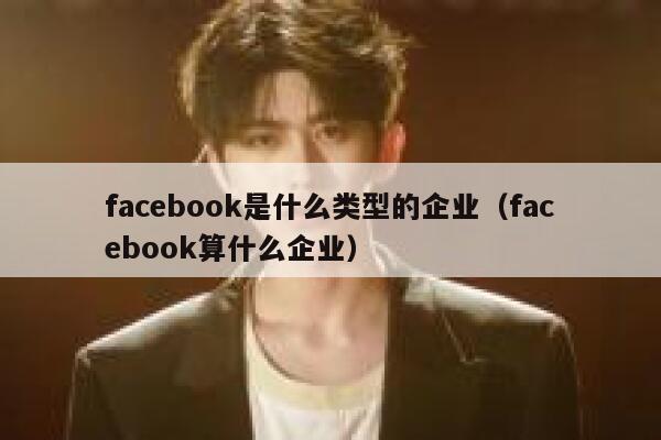 facebook是什么类型的企业（facebook算什么企业） 第1张
