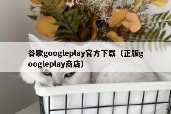 谷歌googleplay官方下载（正版googleplay商店） 第1张