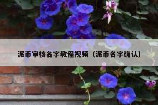 派币审核名字教程视频（派币名字确认） 第1张