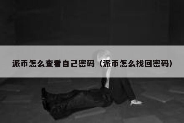 派币怎么查看自己密码（派币怎么找回密码） 第1张