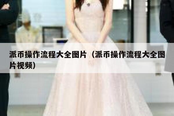 派币操作流程大全图片（派币操作流程大全图片视频） 第1张