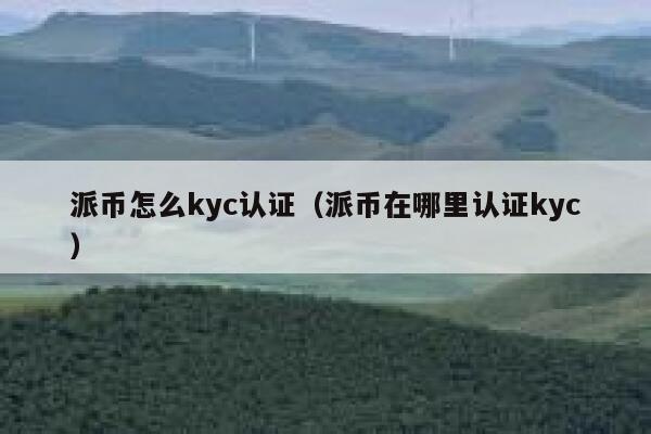 派币怎么kyc认证（派币在哪里认证kyc） 第1张