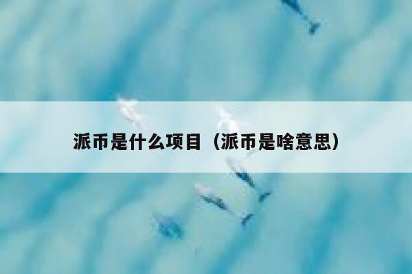 派币是什么项目（派币是啥意思） 第1张