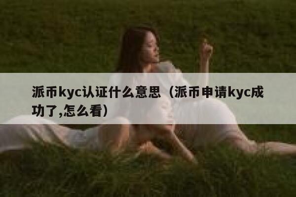 派币kyc认证什么意思（派币申请kyc成功了,怎么看） 第1张