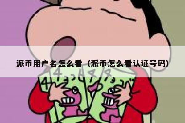 派币用户名怎么看（派币怎么看认证号码） 第1张