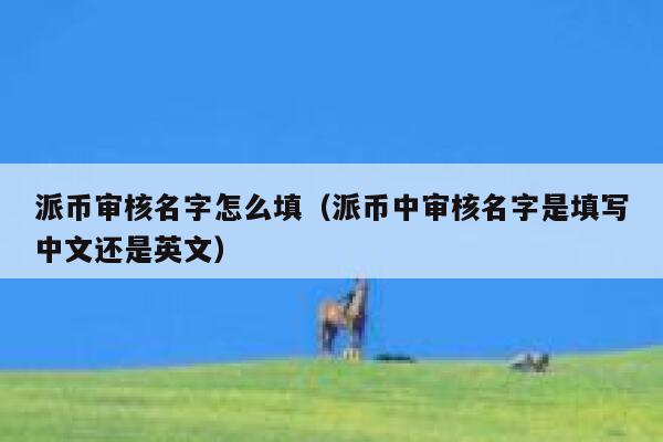 派币审核名字怎么填（派币中审核名字是填写中文还是英文） 第1张