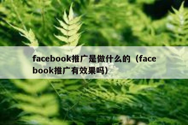 facebook推广是做什么的（facebook推广有效果吗） 第1张