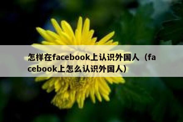 怎样在facebook上认识外国人（facebook上怎么认识外国人） 第1张