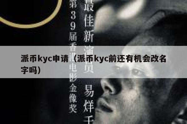 派币kyc申请（派币kyc前还有机会改名字吗） 第1张