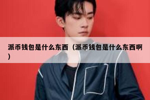 派币钱包是什么东西（派币钱包是什么东西啊） 第1张