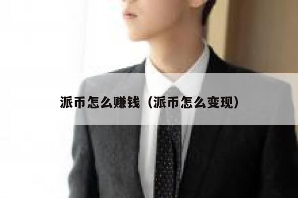 派币怎么赚钱（派币怎么变现） 第1张
