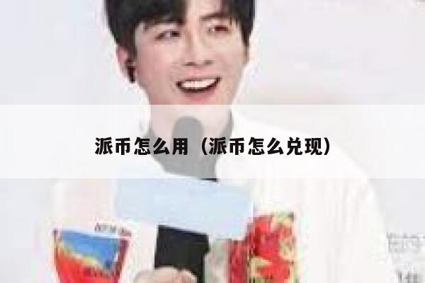 派币怎么用（派币怎么兑现） 第1张