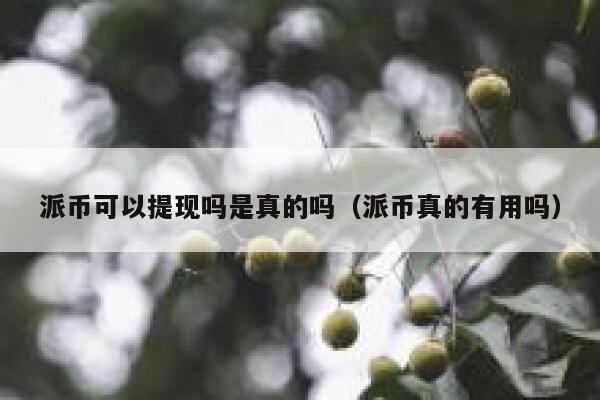 派币可以提现吗是真的吗（派币真的有用吗） 第1张