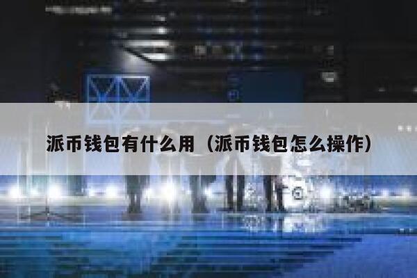 派币钱包有什么用（派币钱包怎么操作） 第1张