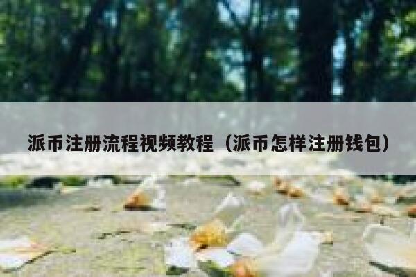 派币注册流程视频教程（派币怎样注册钱包） 第1张